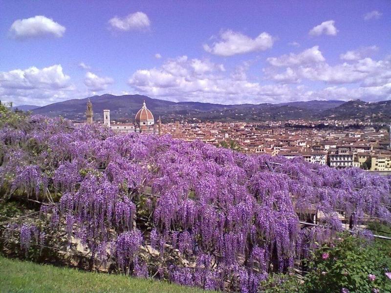 Soggiorno Alessandra ฟลอเรนซ์ ภายนอก รูปภาพ